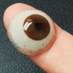 Lentille sclérale souple esthétique