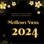 Meilleurs Vœux 2024