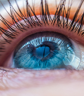 Lentilles de contact Lentilles de contact