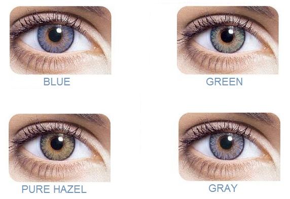 Lentilles de contact Freshlook Day Blue (Bleu) Dencott