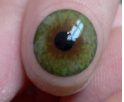 lentille souple hydrophile à iris peint et pupille noire