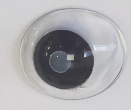 verre scléral optique avec iris peint et sclère transparente